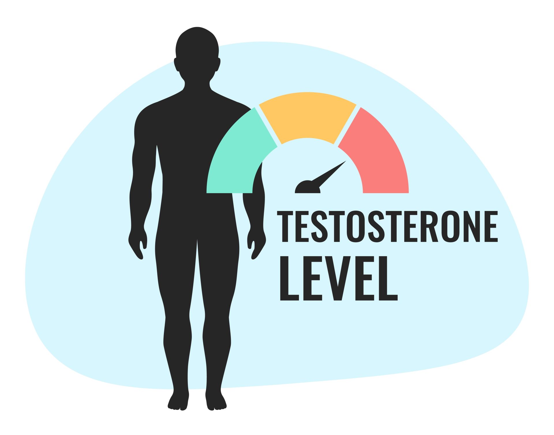 Grafika človeka z napisom Testosteron Level